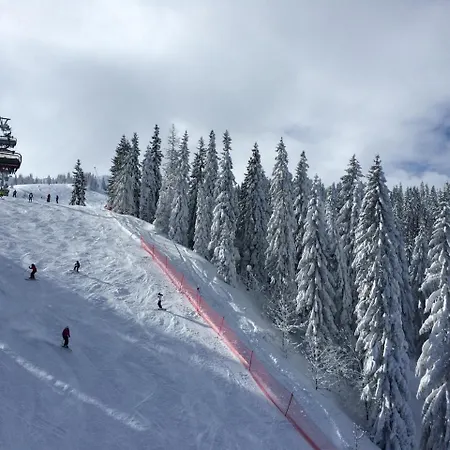 Lux Privatni 411 U Sklopu Vucko Lejlighed