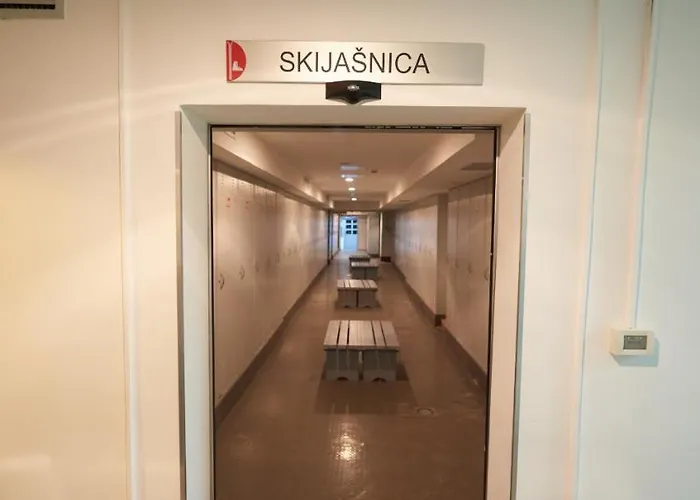 Lux Privatni 411 U Sklopu Vucko