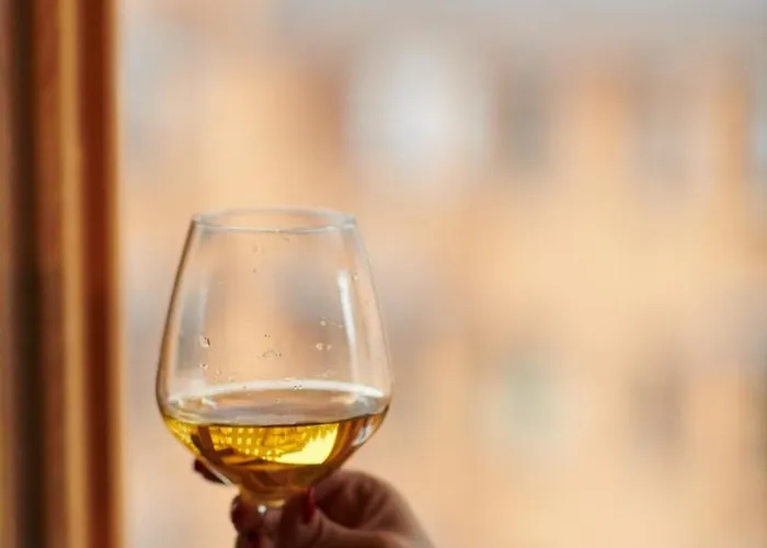 Lux Privatni 411 U Sklopu Vucko *